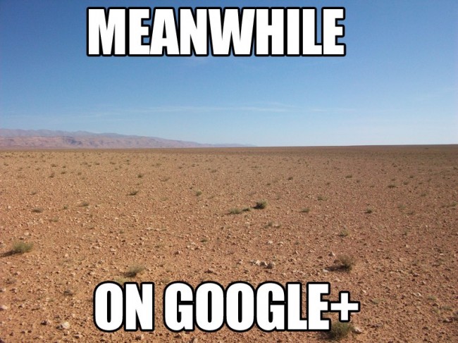 Na Google Plus sporo się dzieje, ale nie jest to serwis dla mas class="wp-image-250941" 