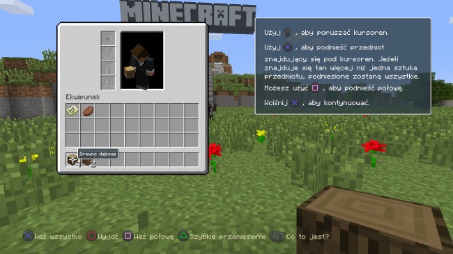 Minecraft: PlayStation®4 Edition_20140905153843