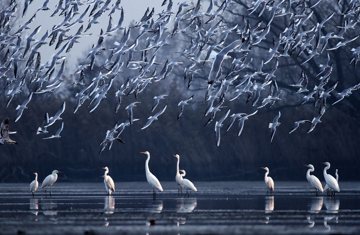  class="wp-image-252776" 
