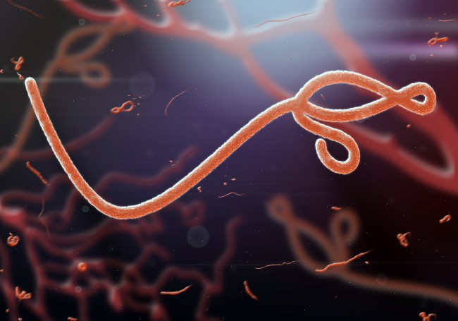 ebola 1