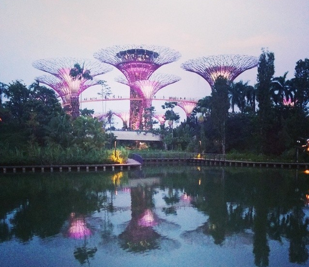 gardens by the bay 2
