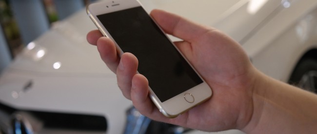 iPhone-6-SpidersWeb-2