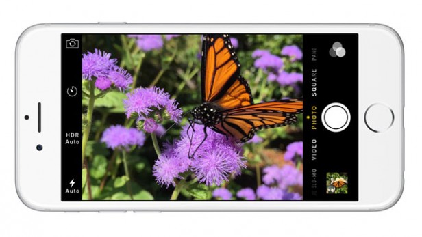 iPhone-6-camera-1