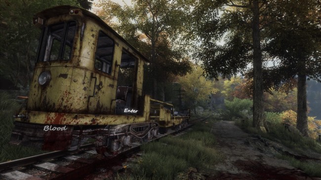 the vanishing of ethan carter 7
