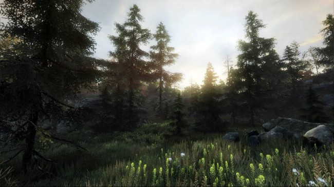 the vanishing of ethan carter 8