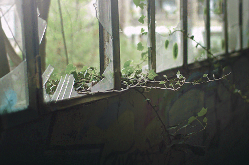 tumblr_n4p4mj3mWG1s85u2fo2_r1_500