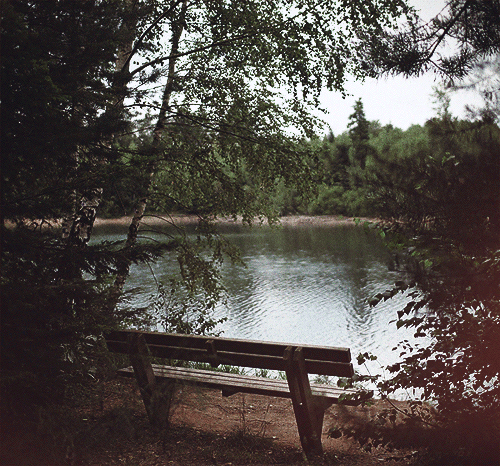 tumblr_n967coMkN21s85u2fo2_r1_500