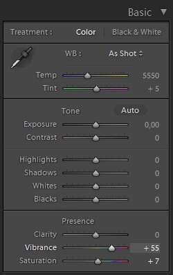 Lightroom-Tutorial-0