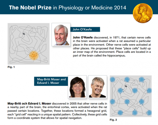 nobelclip