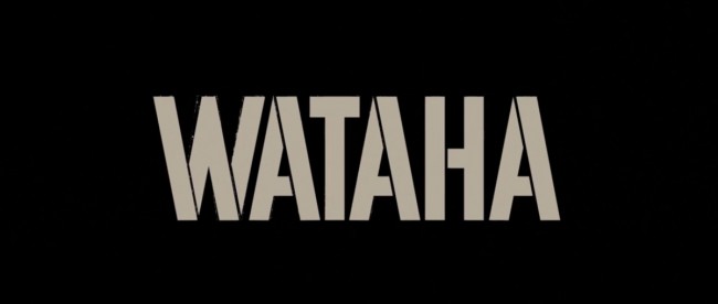 wataha 2