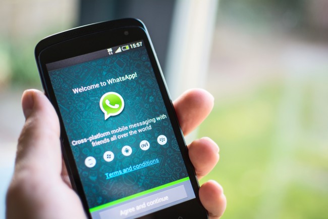 whatsapp wyniki