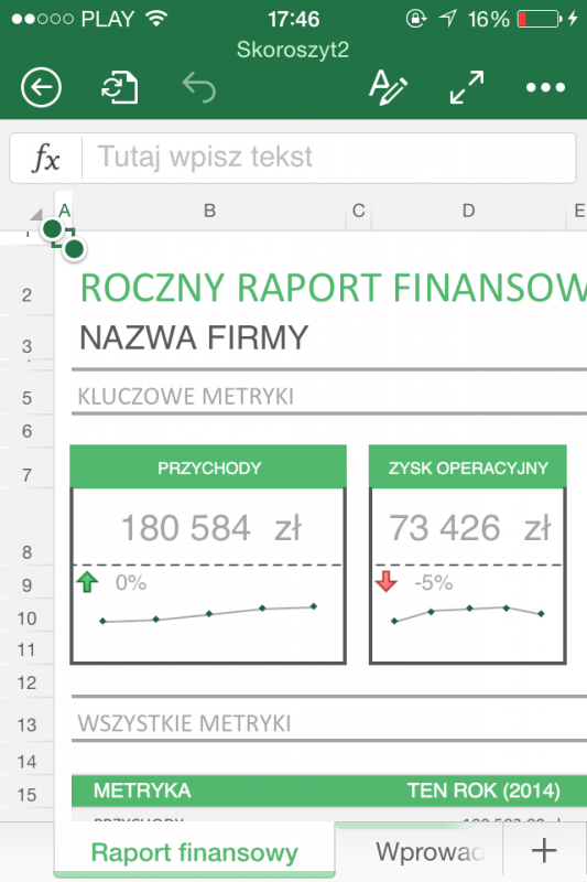 ms office excel iphone
