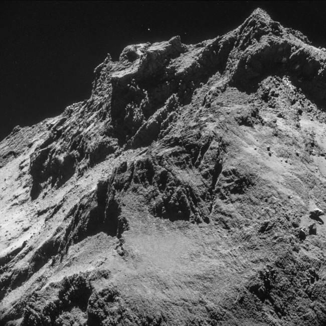rosetta class="wp-image-289839" 