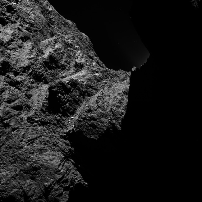 rosetta1