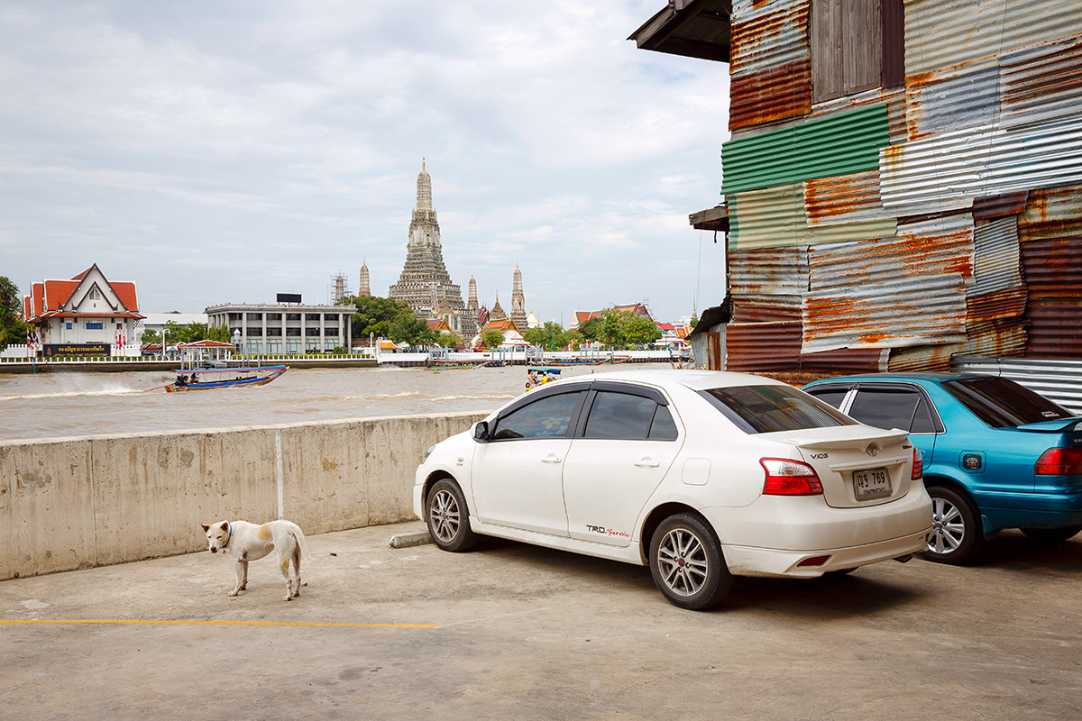 Bangkok, Tajlandia, fot. Noah Sheldon  class="wp-image-295019" 