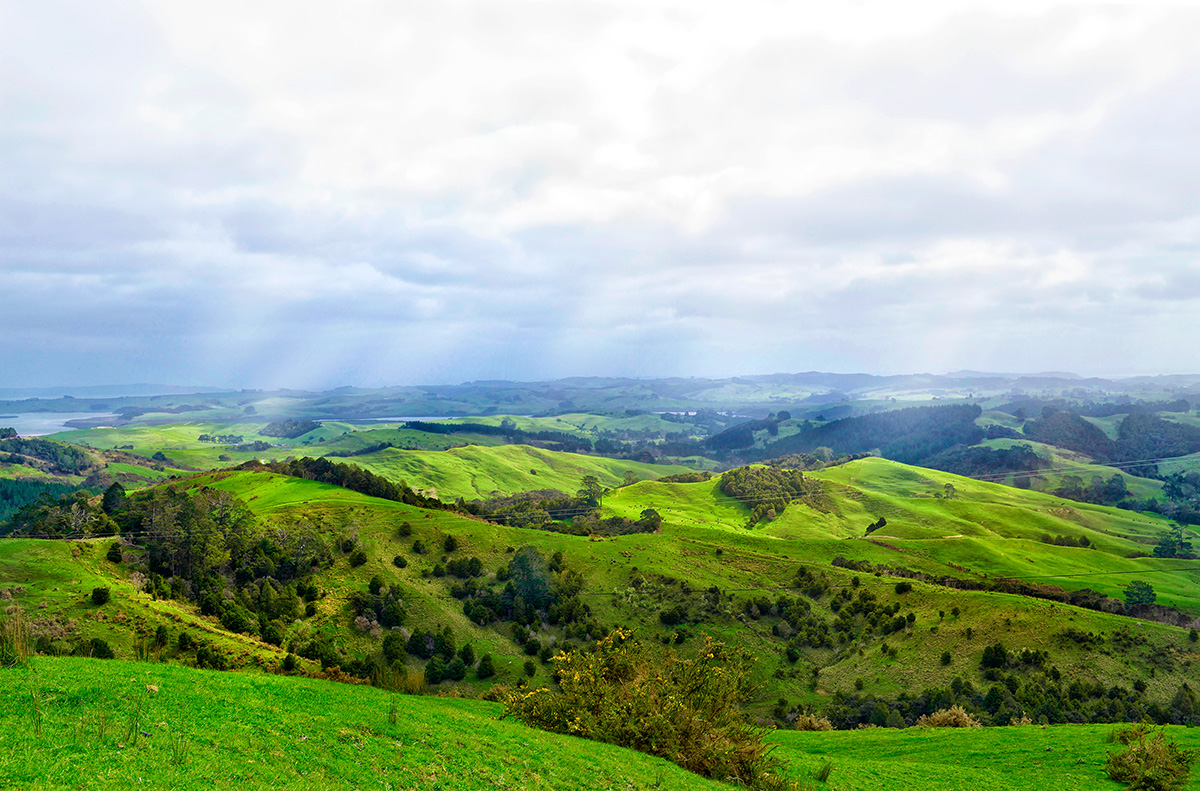 Auckland, Nowa Zelandia, fot. Shaun Pettigrew class="wp-image-295037" 