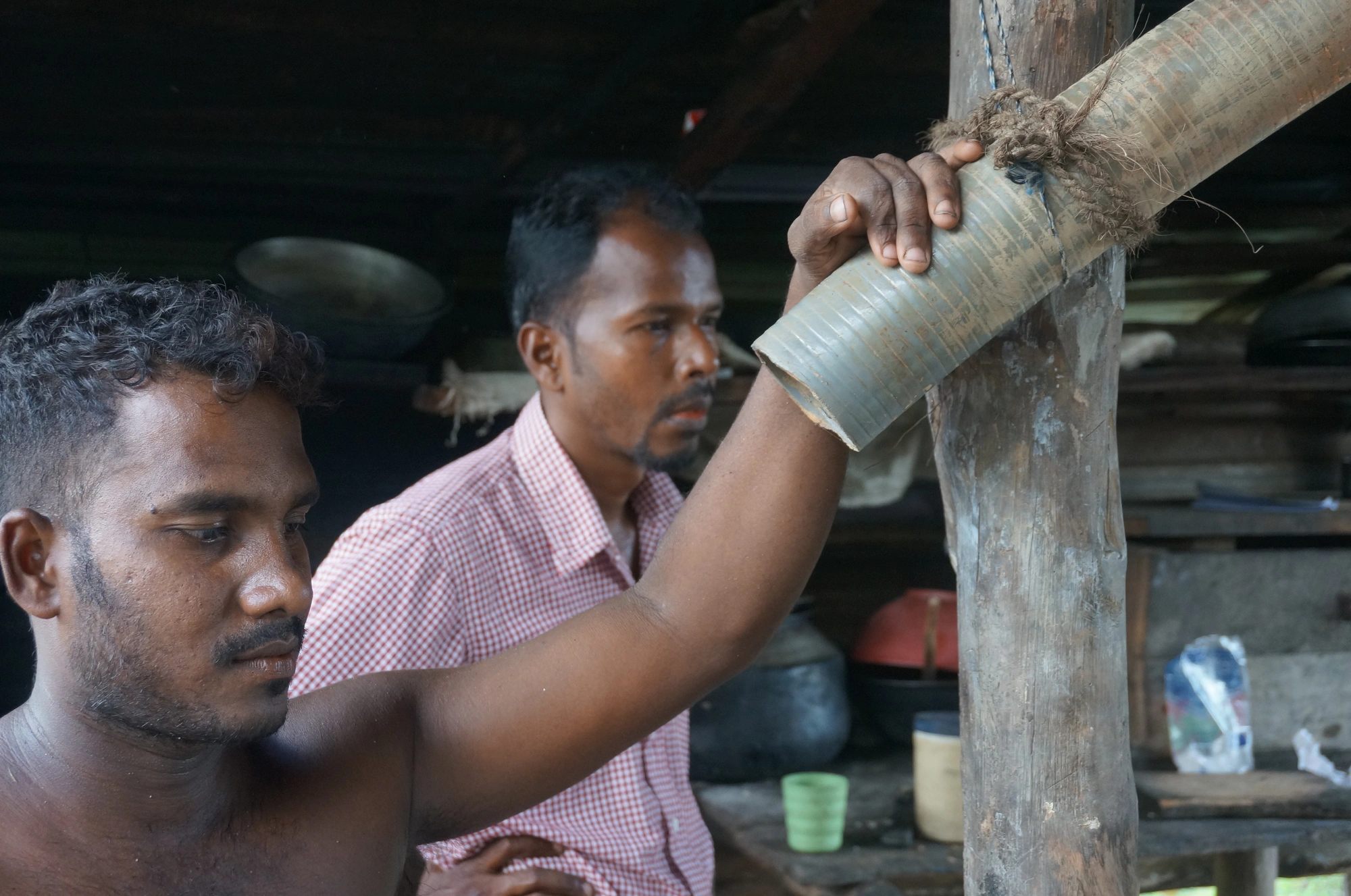 DSC04336 class="wp-image-311005" 