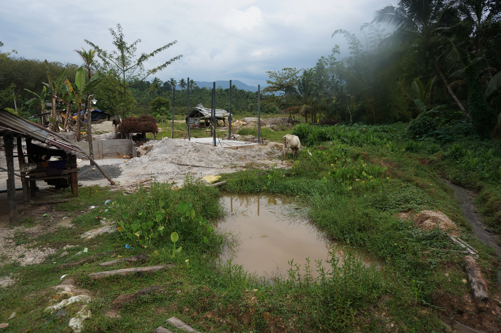 DSC04356 class="wp-image-310973" 