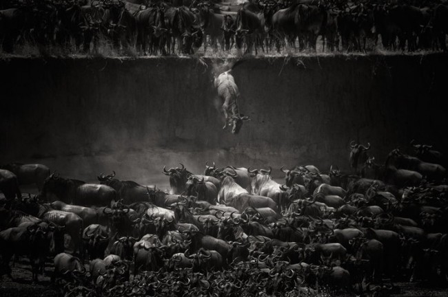 National Geographic Photo Contest 02