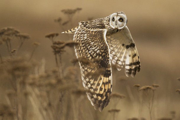National Geographic Photo Contest 13