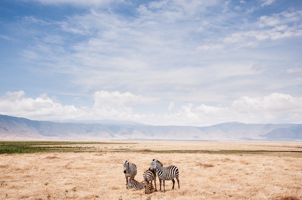 National Geographic Photo Contest 14