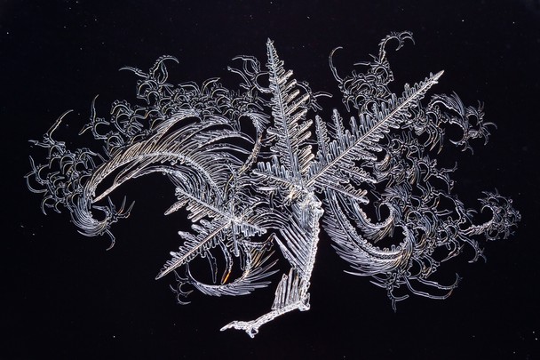 National Geographic Photo Contest 15