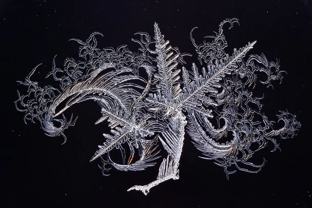 National Geographic Photo Contest 15 