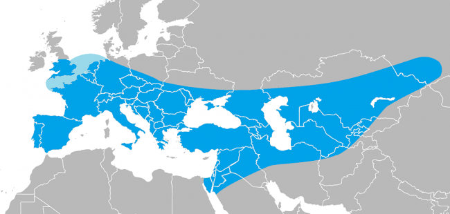 Range_of_Homo_neanderthalensis class="wp-image-327542" 
