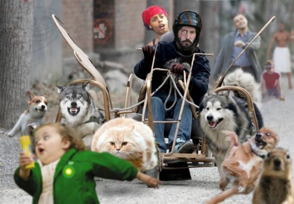 Większość internetowych meme pochodzi z 4chana class="wp-image-332938" 