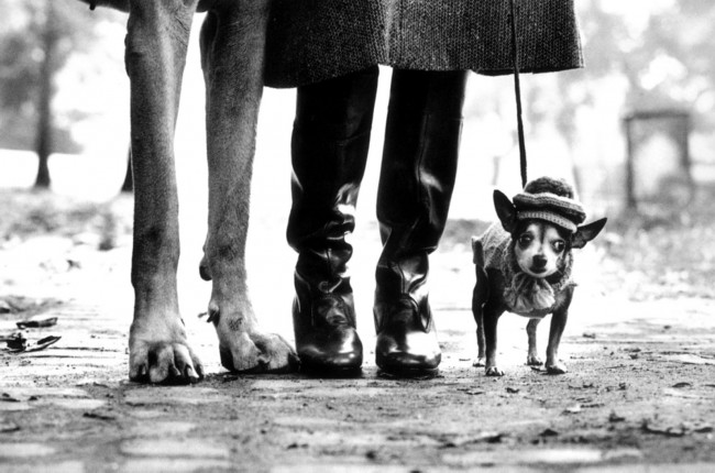 elliot-erwitt1