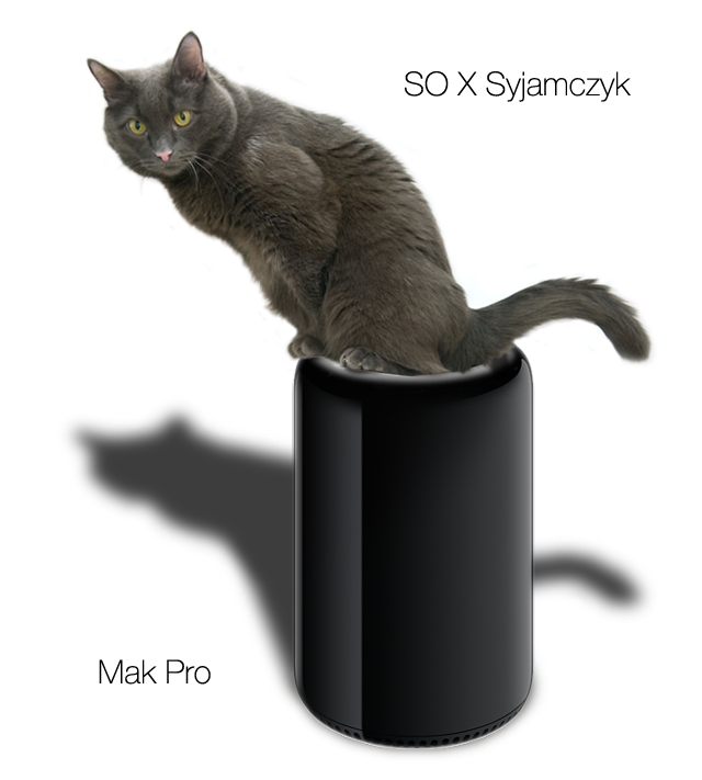 mac-pro-cat-2 class="wp-image-347429" 
