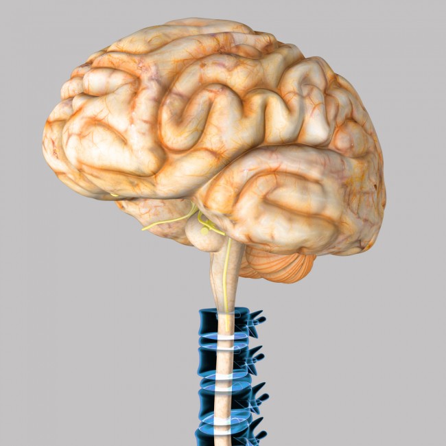 shutterstock_254774239 