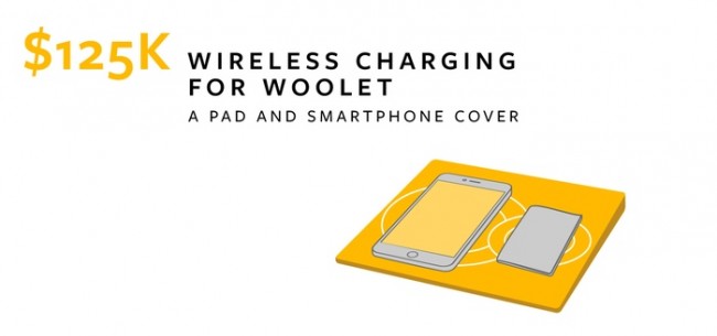 woolet-kickstarter-13 class="wp-image-345905" 