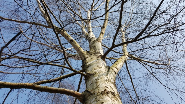 20150324_152100