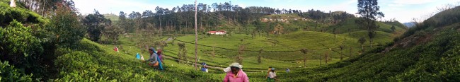 PANO_20141212_083302 