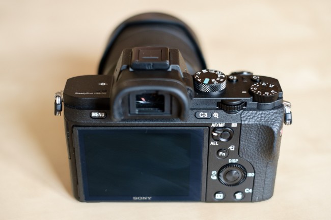 Sony A7II (6 of 17)