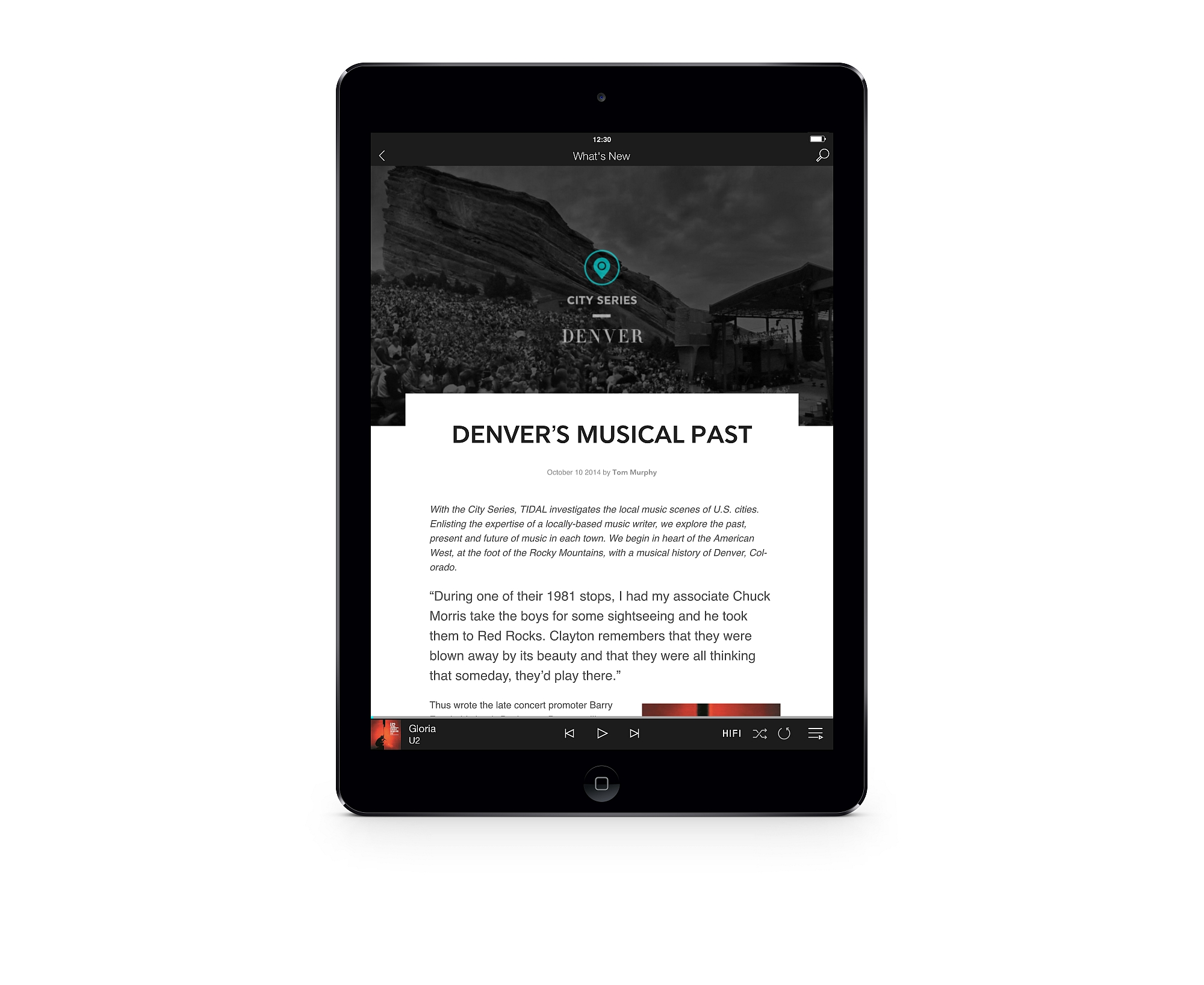 TIDAL_iOS_iPad_Article class="wp-image-360838" 