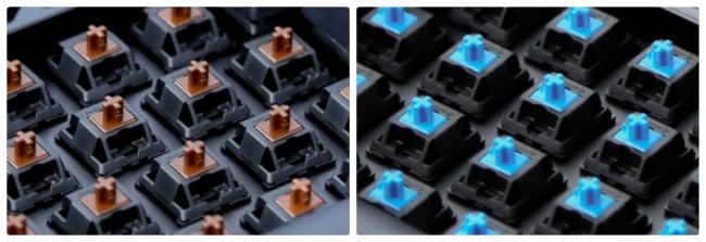 cherry_mx_blue_brown