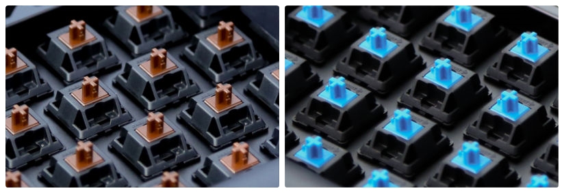 cherry_mx_blue_brown 