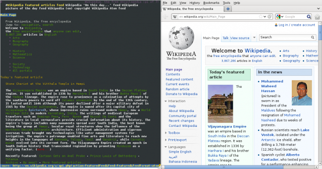 Lynx_vs._Firefox_rendering