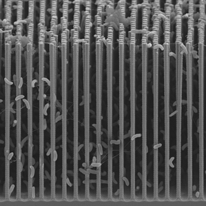 nanowirex299