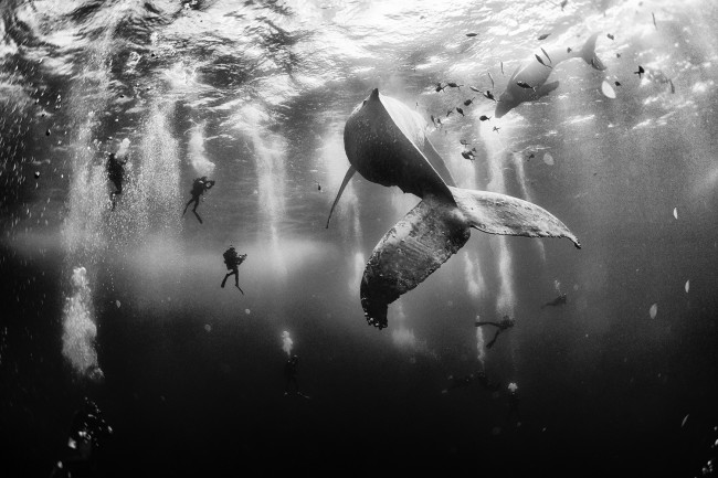 national-geographic-01