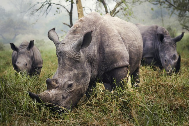 national-geographic-07