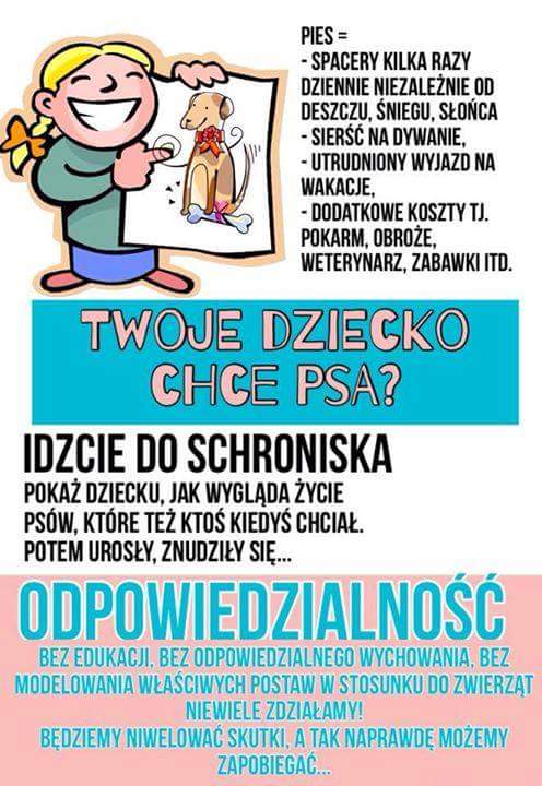 wpid-fb_img_1438610772531.jpg