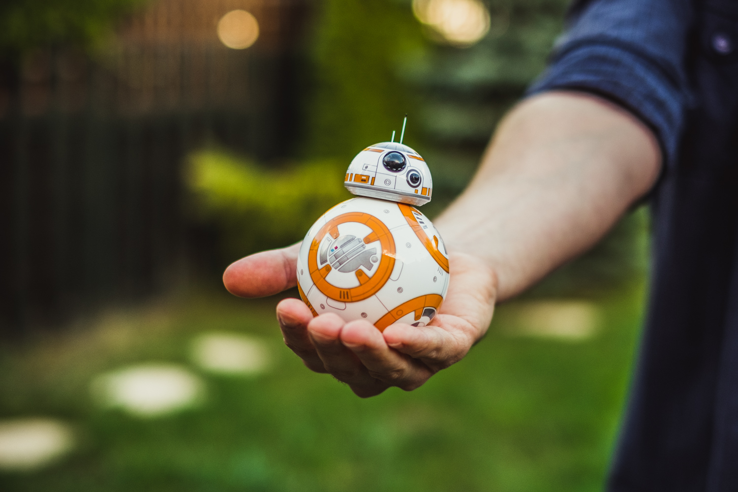 star-wars-bb-8-004 class="wp-image-423426" 