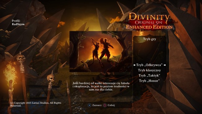 Divinity : Original Sin Enhanced Edition_20151103035702