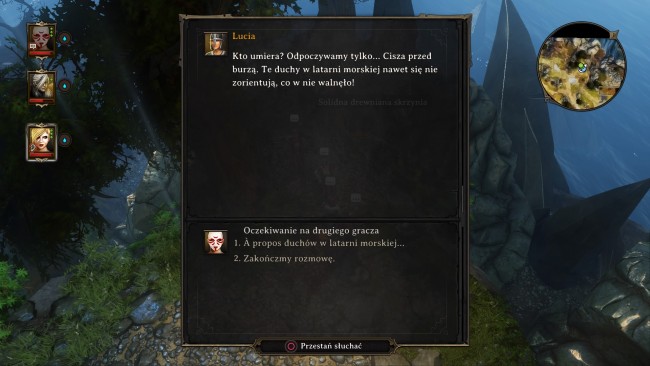 Divinity : Original Sin Enhanced Edition_20151103040654