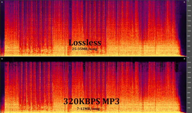 Understanding-the-Differences-Between-Lossy-And-Lossless-MP3-And-FLAC-Made-Easy