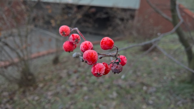 WP_20151127_08_19_39_Rich_LI