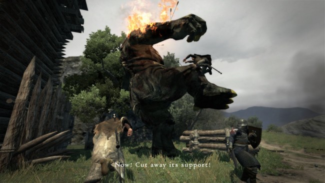 Dragon’s Dogma Dark Arisen (10)
